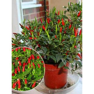 �����N�Ѵ�ȫ�tɫ���콷�߲�С�׽��N���߲��������ļ�����������