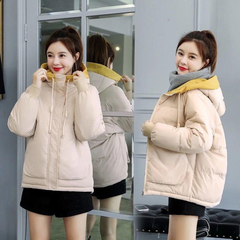 베이지