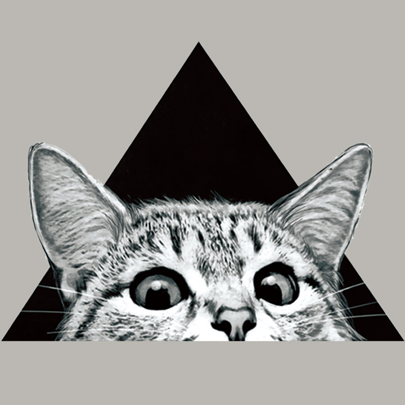 亚马逊热销猫咪热转印烫画 现货A级环保过粉耐水洗烫图 服装烫画