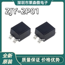 ��ģ늸� ZJYS51R5-2PT-01 ZJY-2P01 �NƬ�V���� ZJYS51R5-2P