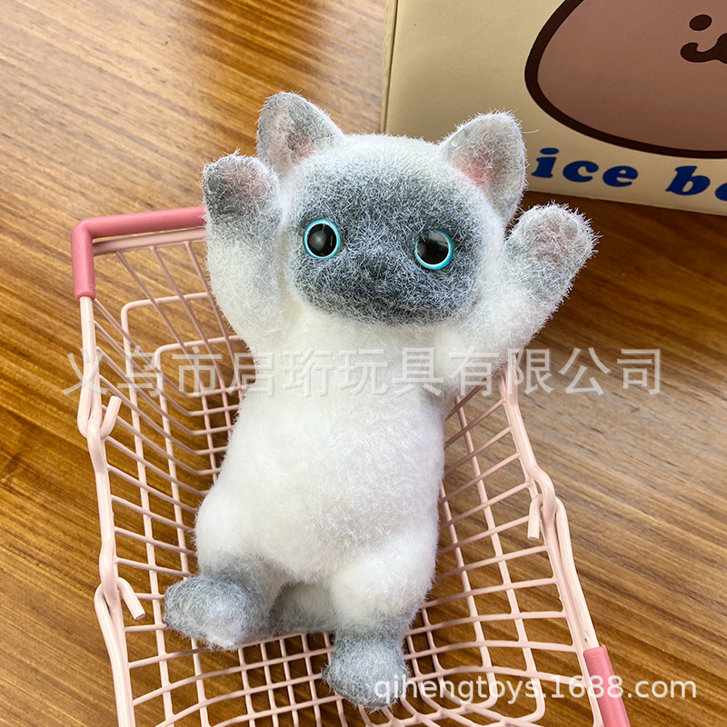 손을 들고 샴 고양이