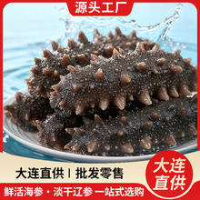 ���B����Դ�^���S�������Ŵ��|����؛��ʳ�����Y���bֱ�����l���l