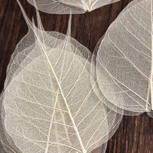 �����~�}��Ȼ��ˇ�N���~�Ӳ����ֹ�diy�U�՘��~�˱�����Ѻ����