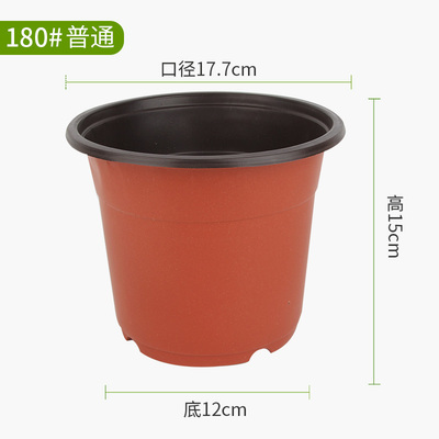 180#17.7*15*12 Common【500】