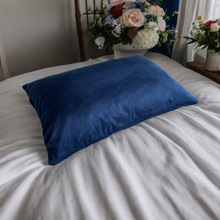 天然乳胶枕颗粒填充枕情侣枕头成人儿童学生枕套单人棉枕家用简约