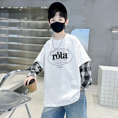 Boy's Cool Style Hooded Sweatshirt Spring and Autumn Version 2024 New Middle and Large Child Spring Top Children's Spring Outfit