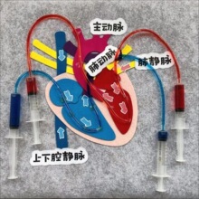 DIYѪҺѭ�h�Ƽ�������ͯ�ƌW������ѪҺѭ�hϵ�yģ����������