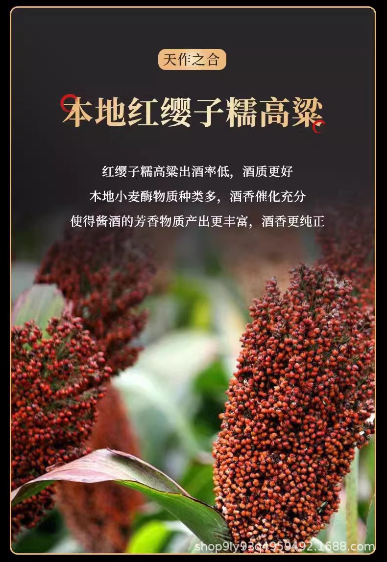 O1CN0197hTjA1kr8gMRQiZq_!!1842