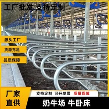 加厚热镀锌奶牛场单双面牛卧床无焊接牛卧栏片养殖设备限位栏机械