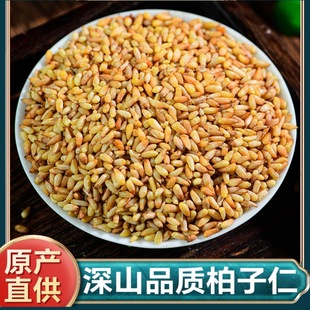 新货柏子仁去壳柏实正品柏籽仁柏仁侧柏树种籽仁中药材正品XZ-阿里巴巴