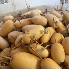 �F�д����̓rҰ�����ϴ����ֺ��J�m���Ӯ����L������ֹ��YƷ�b�