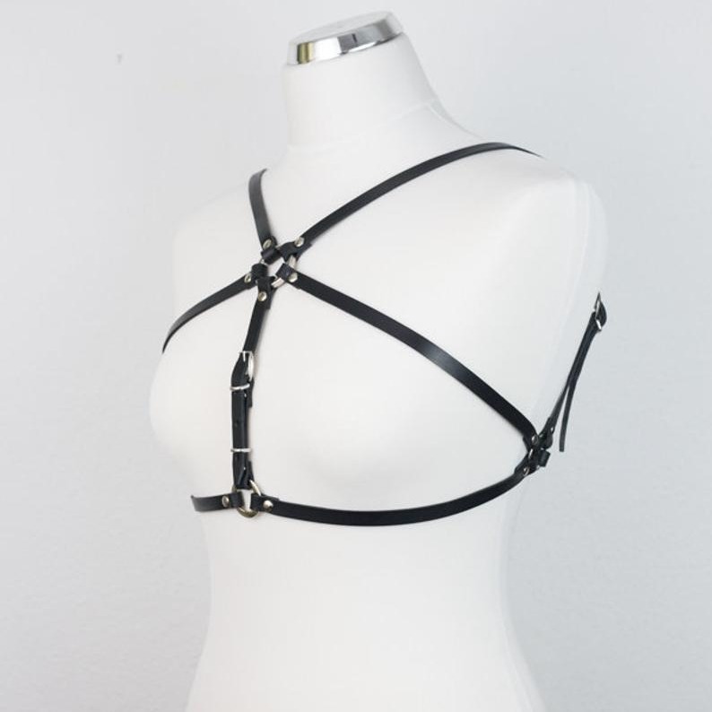 Fashionable harness