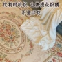 卧室客厅家用床边地毯