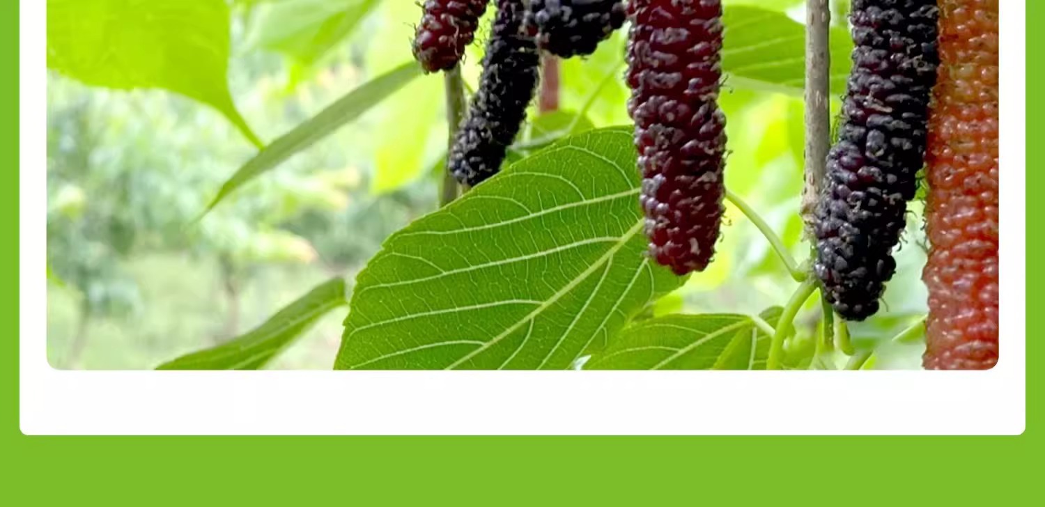 O1CN01cITssM1KQs67Jv3vy_!!2219532571159-0-cib.jpg?sign=583921_Mzg0OTAxODQ5