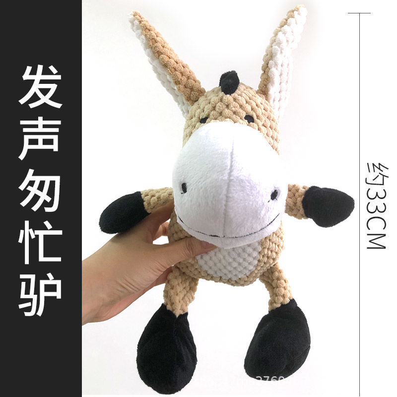 서있는 자세 재미있는 당나귀