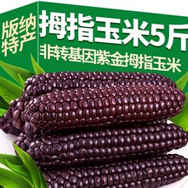 月饼;传统糕点;其他干货