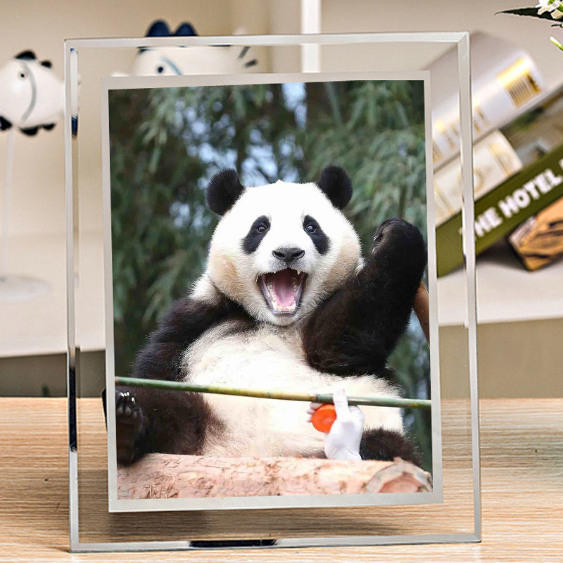 Giant Panda Fubaofu Princess Picture Making Photo Frame Hand-held Animation Doll Poster Gift Table