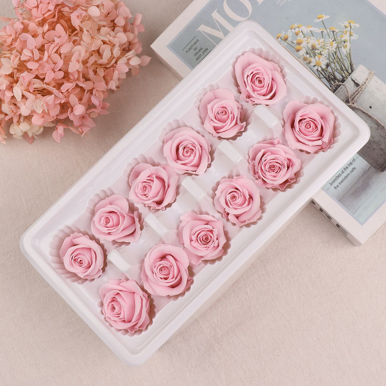 Cabezas de Rosa Eternas A+, 3-4 cm, 12 Piezas, Materiales para Manualidades Florales, Caja de Regalo, Fabricante, Venta al por Mayor