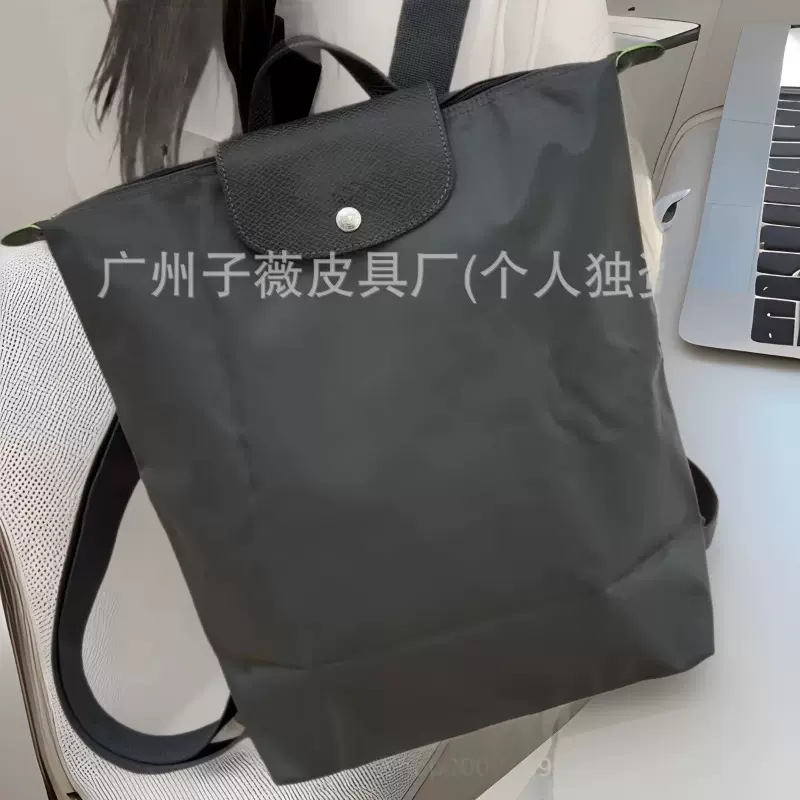 2025龙骧双肩包尼龙大容量防水背包轻便折叠手提单肩通勤书包休闲
