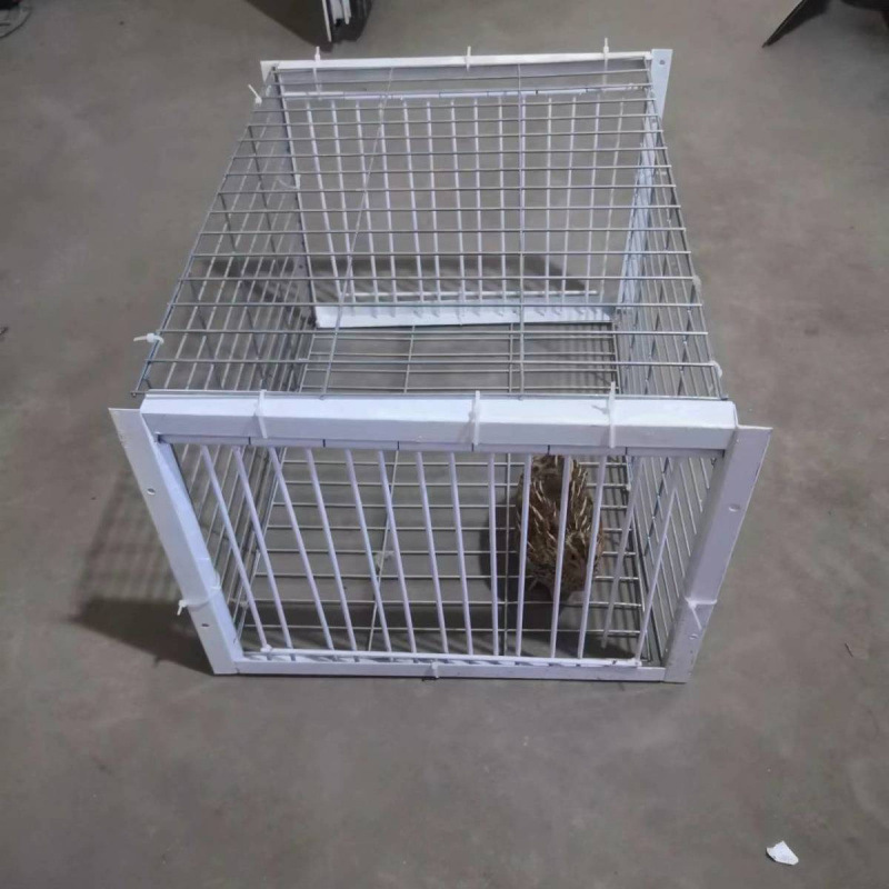 鸽子撞门笼 自动撞门笼活络门帘子门信鸽进笼口进门自动门鸽子笼|undefined