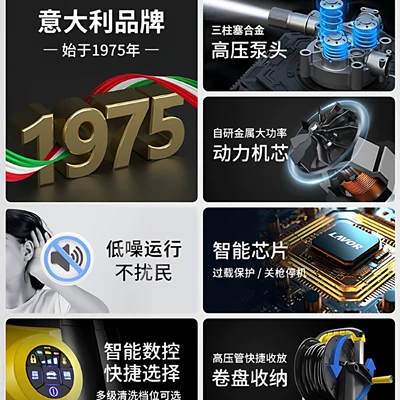 High pressure car wash water gun: 220V High-Pressure Water Gun Garden Cleaning