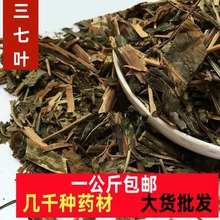 三七叶精选正品云一公斤包邮三七叶中药材三七叶田七干叶子