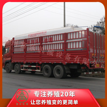 2T全自动饲料运输罐制作各种吨位各种尺寸散装饲料运输罐运输车