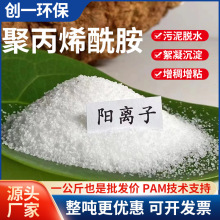 聚丙烯酰胺絮凝剂PAM阳离子养殖造纸屠宰污水处理药剂 源头厂家