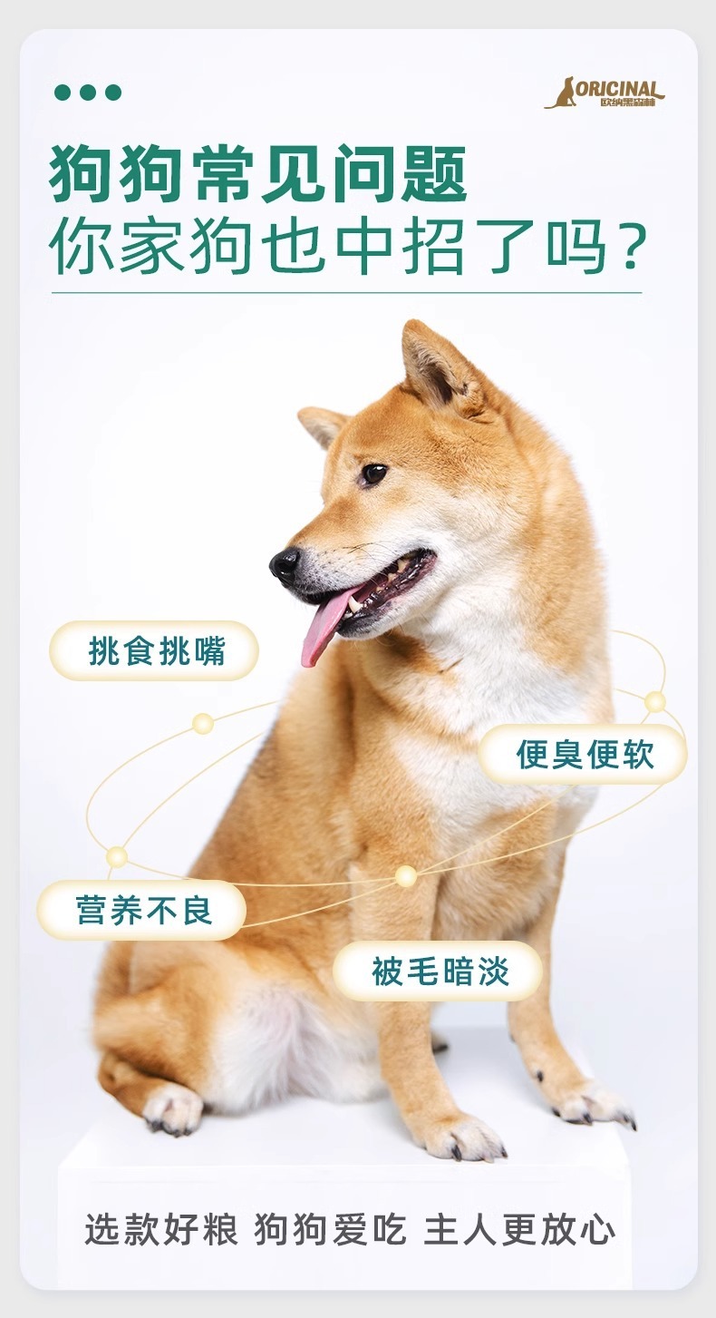 b8b51aeb-c832-4847-9796-7bb637b66cc0.jpe