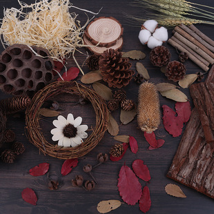 ɭŮ�L�͹�ɭ�֌�ؐ�ɘ��~�ɹ������Ƥ���ՔzӰ�[�ı������յ���