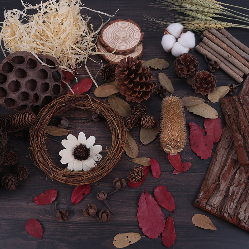 Mori Girl Style Retro Forest Baby Dry Leaves Pine Cone Takraw Ball Bark Photo Photography Pose Background Photo Props