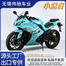 外贸出口全新小忍者摩托车跑车蛟龙燃油户外公路防赛机车厂家直销