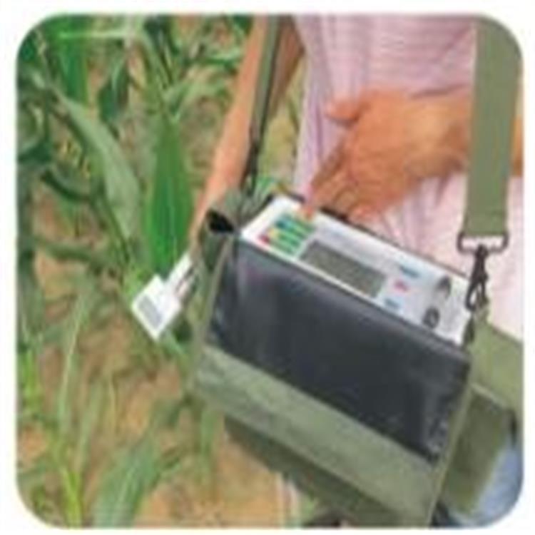 (价可议）光合作用测定仪 型号:ST69-3051D  库号：M242686