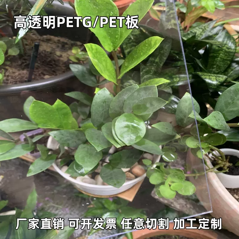 批发高透明PETG板环保PETG片材吸塑UV印刷加工 透明PET胶片塑料板