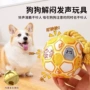 耐磨发声狗狗宠物玩具