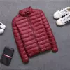 888 wine red [stand collar]