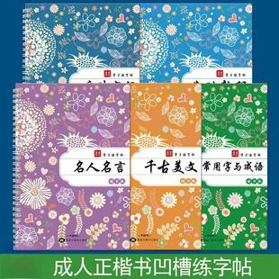 Calligraphy Groove Copybook for Adults: Quick Calligraphy Practice for Men and Women with Fountain Pen