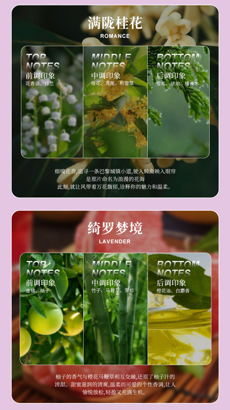 Car Aromatherapy Car High-end Perfume Lasting Light Fragrance Men's Car Fragrance Deodorization High-end Sense Women's Decorative Ornaments