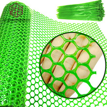 �S�����l�Gɫ����ϩֲ�����پW��������ֲ�������֧�����ϾW