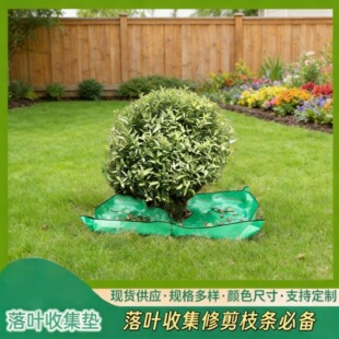 �羳���R�d�ڿ�ֲ���ľ�޼����~̺��ˮ���@ˇ���@���^�؉|�Gֲ