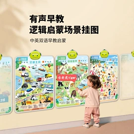 学习/早教机;玩具挂图;有声挂图