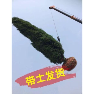 �ؘ��������ر���ɰ؂Ȱ؈A���ɘ䌚�������ش̰���u�L���ͺ�