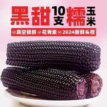 �|����Ŵ����10�����]���r������װ��ӷǼ�ʳ��ճ�۰�������߲�