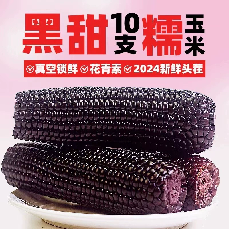 Северо-восточная черная клейкая кукуруза 10 бесплатных свежих фиолетовых липких кукурузных початков