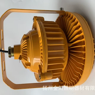 led防爆灯泛光灯 仓库 厂房灯30W加油站化工厂车间防水路灯