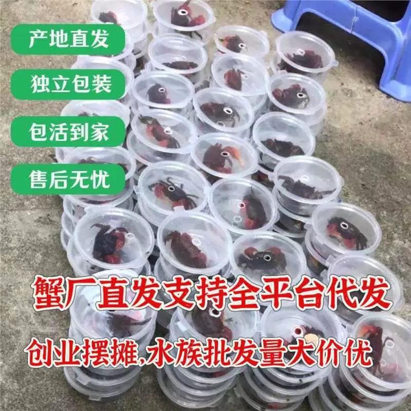 Сладкие руки крабов чили крабов