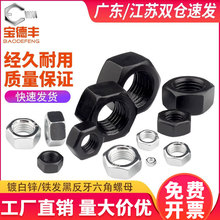 8.8������������ĸ���z��ñ��˨ñ�ݽzñ M10M12M14M16M18M20M24