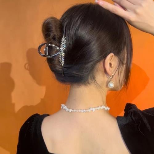 IMG_7138(20240425-200234)