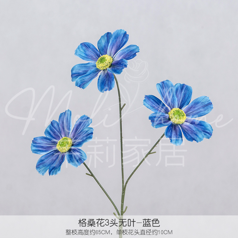 블루 2#-잎이 없는 3개의 콜산 꽃