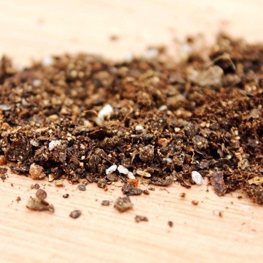 Micro paisaje y plantas suculentas suelo especial 200g jardinería materiales vegetales jardinería nutrición que contiene fertilizantes